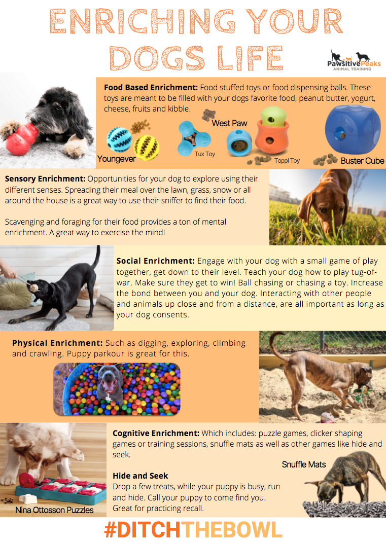 Dog Enrichment Resources